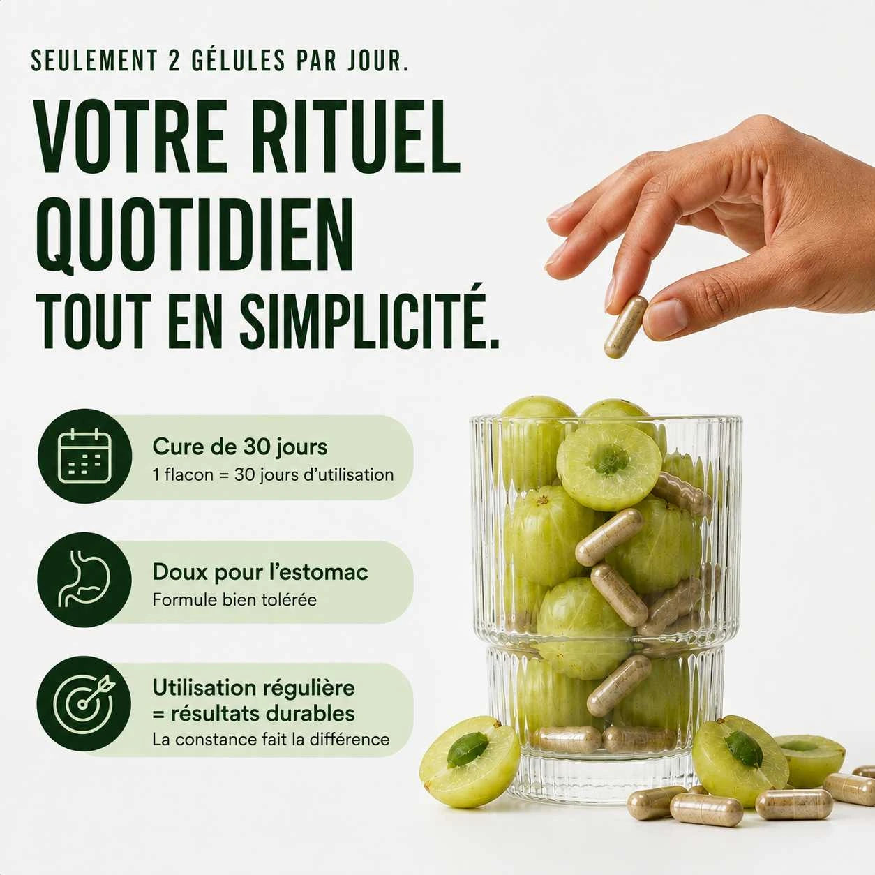 Gélules Anti-Chute · Stopper la chute des cheveux en 90 jours !