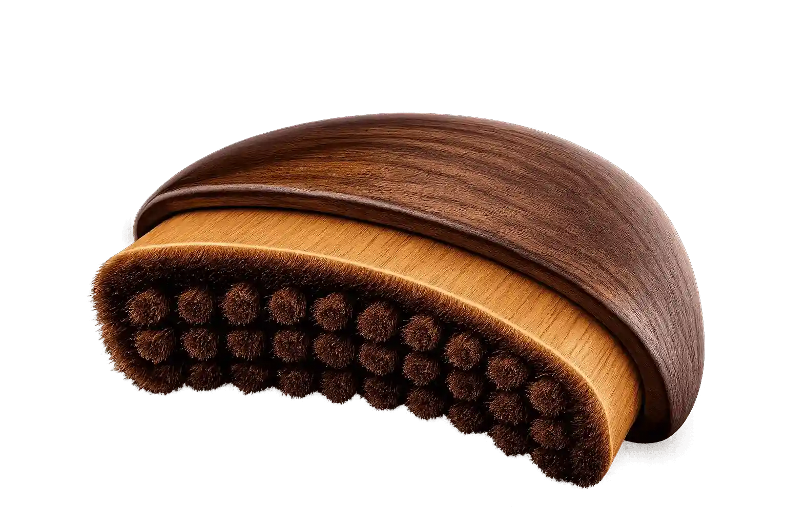 Brosse Lymphatique Bras